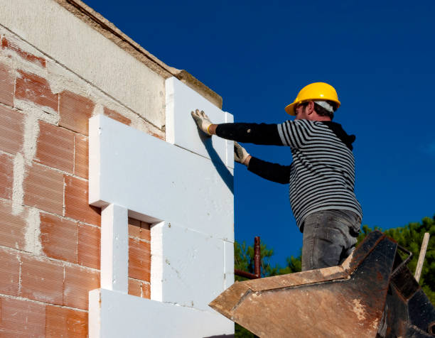 Best Geographic-Specific Insulation Services in Rockwood, MI