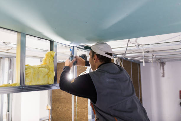 Best Spray Foam Insulation in Rockwood, MI