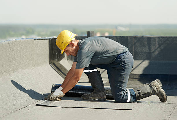 Best Residential Insulation in Rockwood, MI