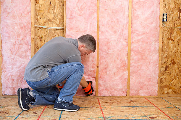 Best DIY Insulation Kits and Guidance in Rockwood, MI